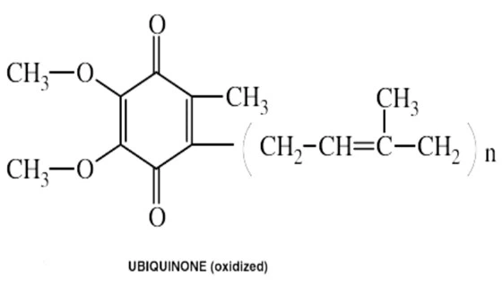COQ 10