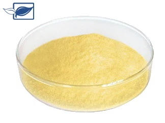 Furacilin کی فارماکولوجیکل ایکشن