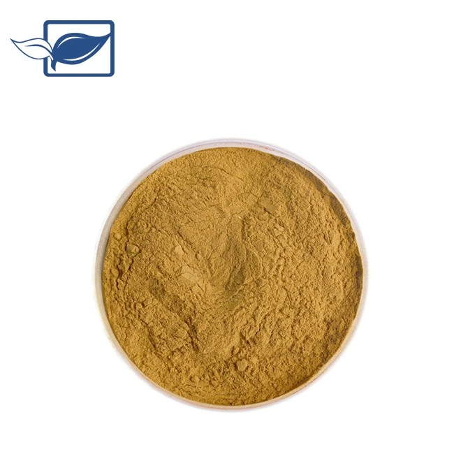 Salvianolic Acid B